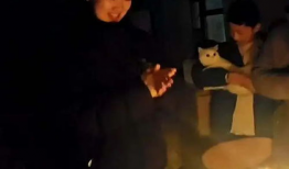 成人调教视频,视频解析与心得分享